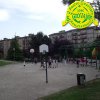 FestaPrimavera2015 